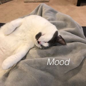 Meet your Posher, Seema